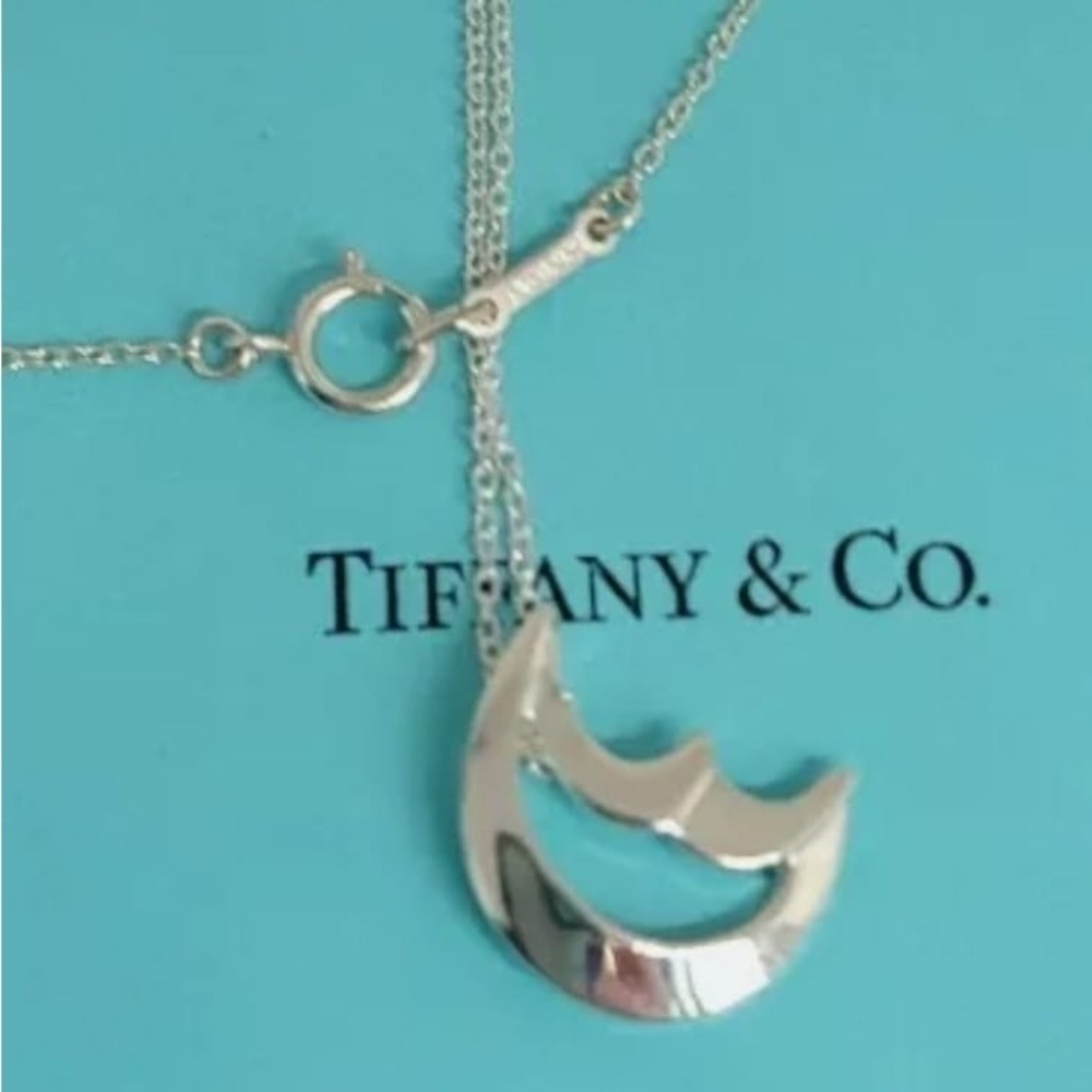 Tiffany & Co. Silver Moon Necklace - Picture 10 of 11